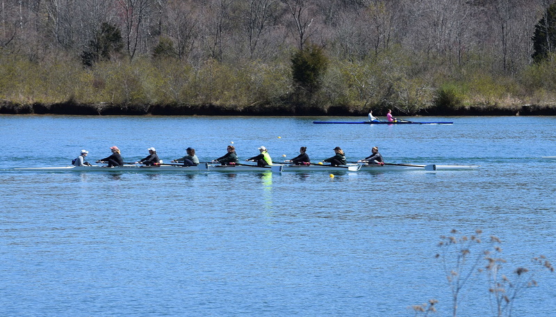 day, oar, ladies scull rowing, water, men, group of people, 2K, rowboat, clinch river, sport, nature, competitive sport, cooperation, teamwork, sport rowing