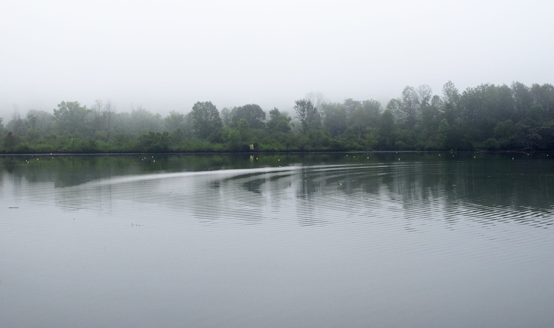 oak ridge, melton lake park, reflection, tennessee, ripples in the water, sky, non-urban scene, idyllic, beauty in nature, no people, tranquility, landscape