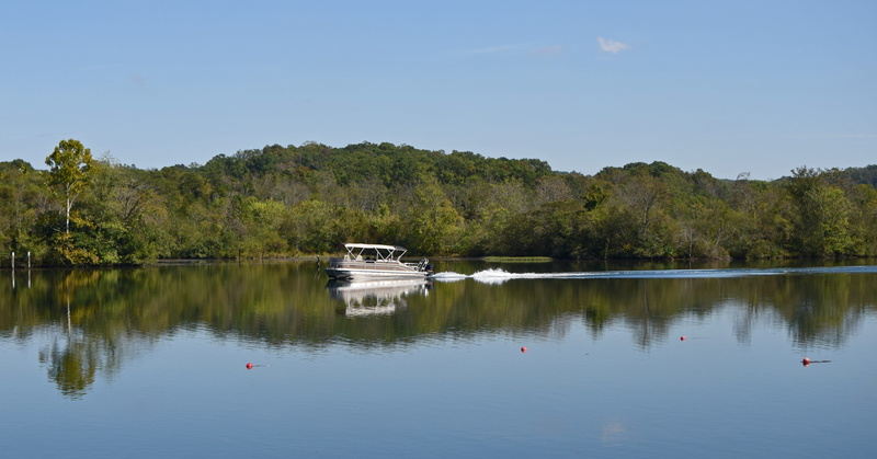 boat, transportation, sky, tranquility, motor, afternoon, water, tree, animal, outdoors, plant, clinch river, no people, 4K, melton lake, forest, sport