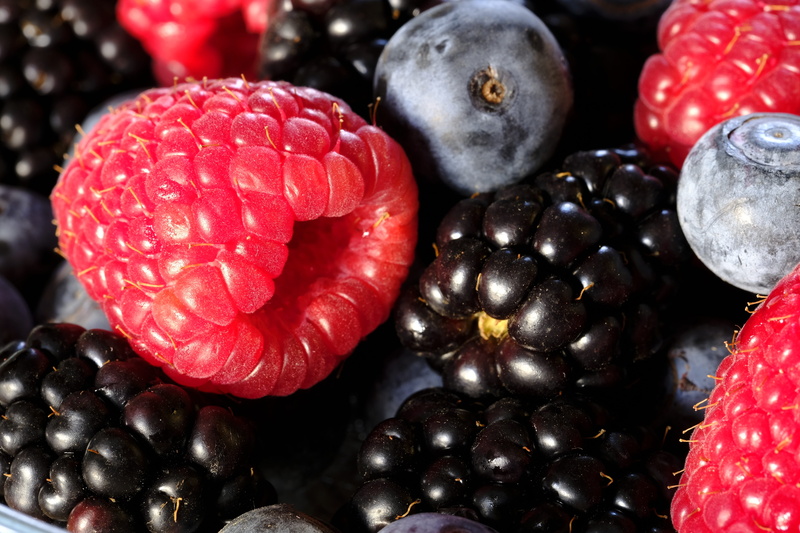 full frame, raspberries, fruits, no people, freshness, red currant, blueberries, surface, raspberry, gray, abundance, zeckbeere, black berry, juicy, large group of objects