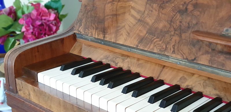 vegetable, brown, flugelhorn, grand piano, flower, nature, old piano, plant, brass section, arts culture and entertainment, high angle view, cabbage, plywood