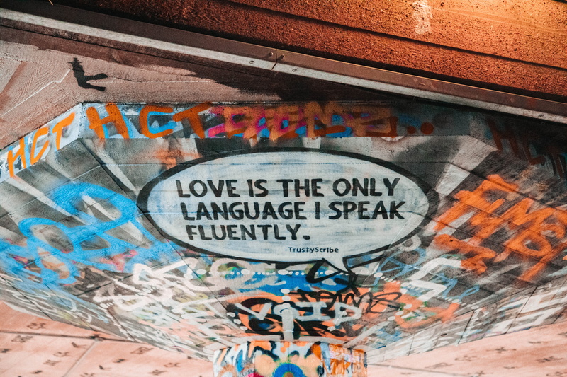 wildlife, wall, non-western script, communication, multi colored, mammal, speak, script, information, day, overcoat, apparel, painting, graffiti, coat