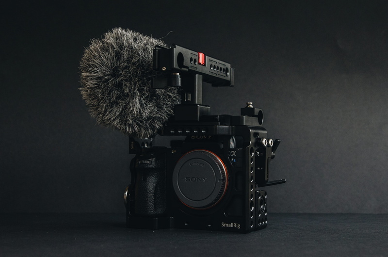 communication, tripod, gray, shelf, camera - photographic equipment, still life, digital camera, 4K, equipment, hall, photography themes, bird, wall, animal