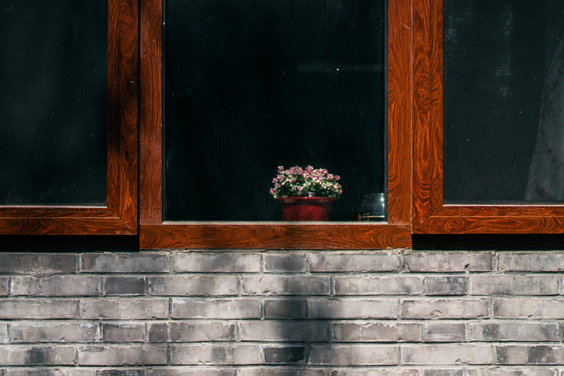 day, potted plant, built structure, glass, building, flower bouquet, architecture, building exterior, 4K, wood - material, walkway, outdoors, geranium