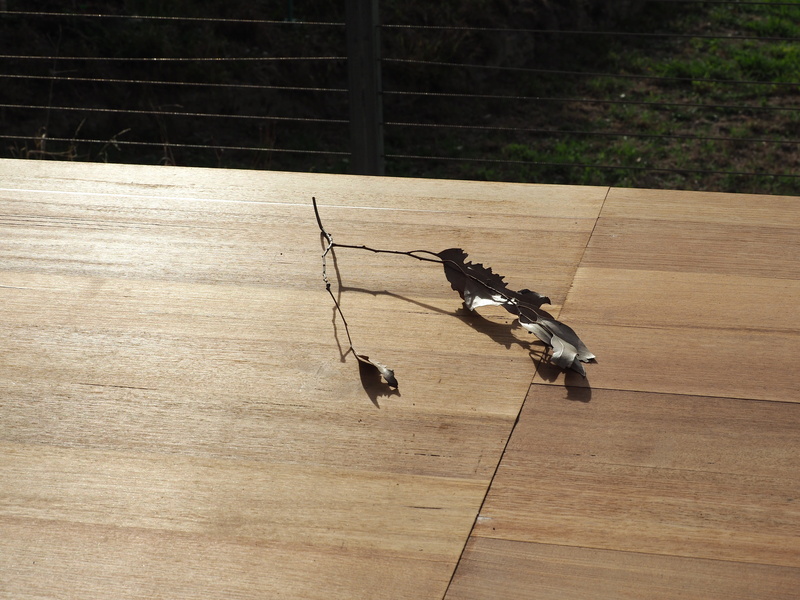 vertebrate, hardwood, bridge, day, wood - material, tabletop, no people, boardwalk, nature, perching, arrow, lumber, leisure activities, fence, sunlight