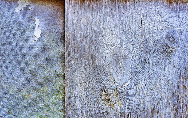 tree trunk, shape, backgrounds, weathered, old, natural pattern, furniture, rug, close-up, plant, wood - material, pattern, stained wood, 2K, canvas, silver