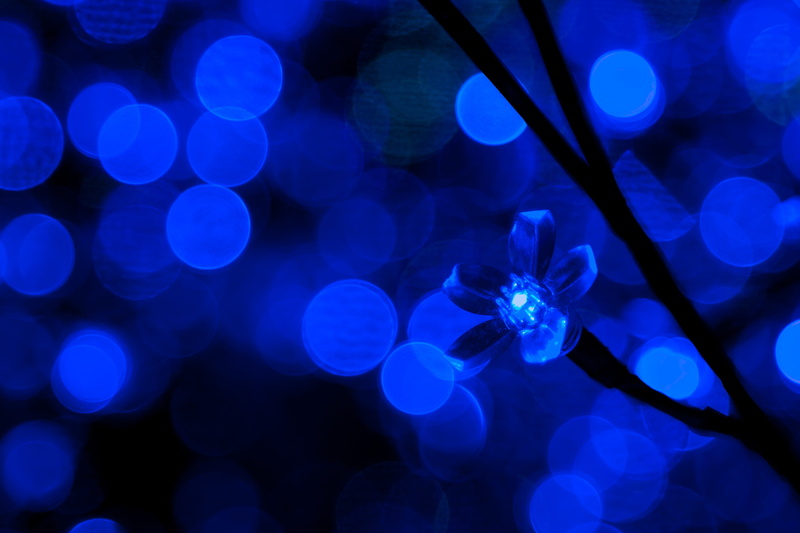 abstract, glow, purple, photography, shiny, beauty in nature, defocused, illuminated, plant, flower, nightlife, glowing, christmas, diode, ornament, led