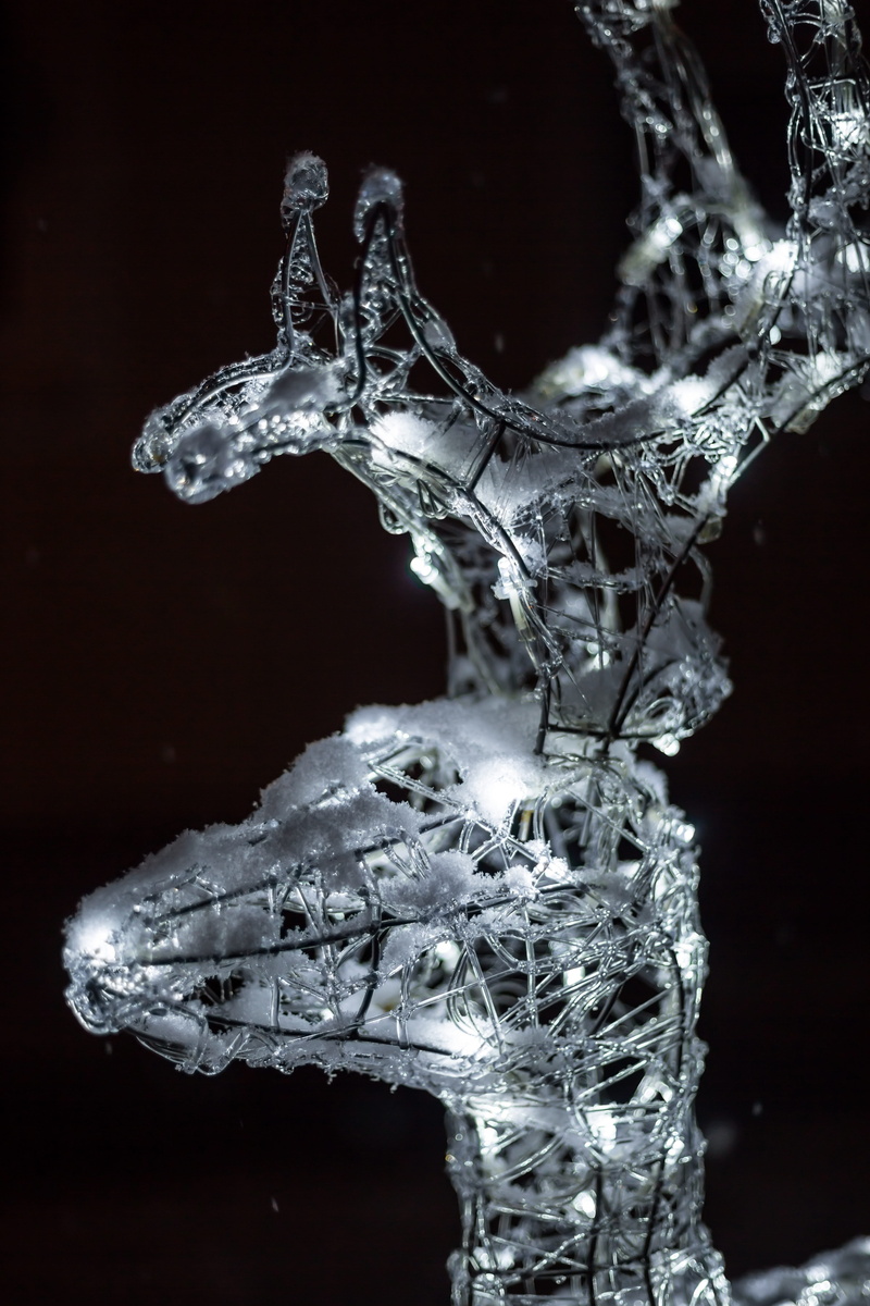 5K, cold temperature, purity, close-up, reindeer, night, splashing, studio shot, nature, indoors, cold, ice crystal, light emitting diodes, winter, glass - material