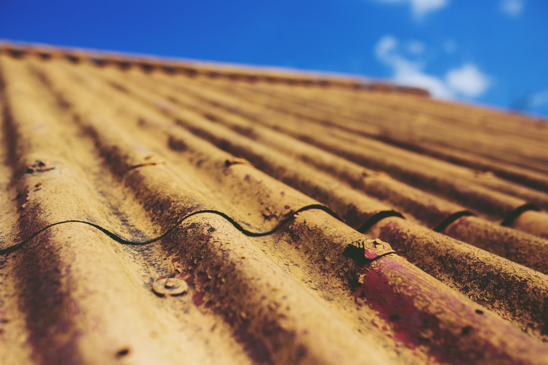 rusty, surface level, field, yellow, outdoors, no people, vintage, paint, focus on foreground, asbestic tile, house, roof Tile, architecture, pattern, selective focus