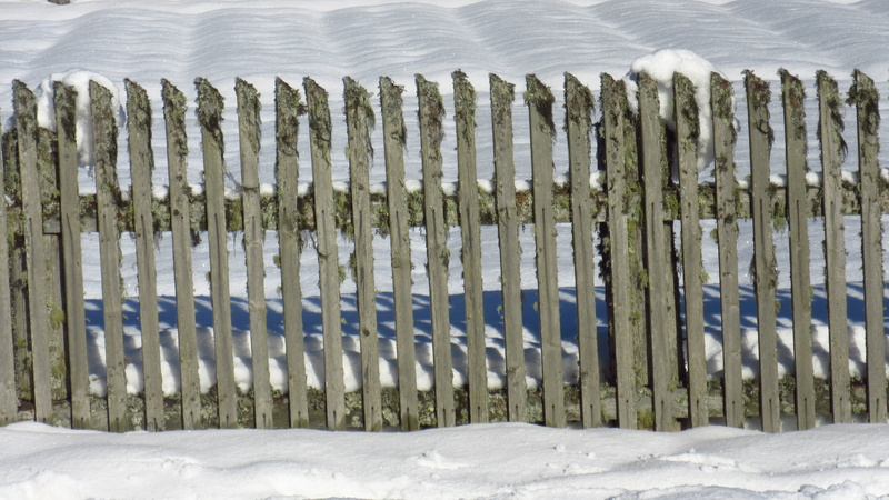 day, security, snow, fence, outdoors, wood - material, winter, background, garden fence, covering, 4K, snowing, no people, white color, land, wood fence