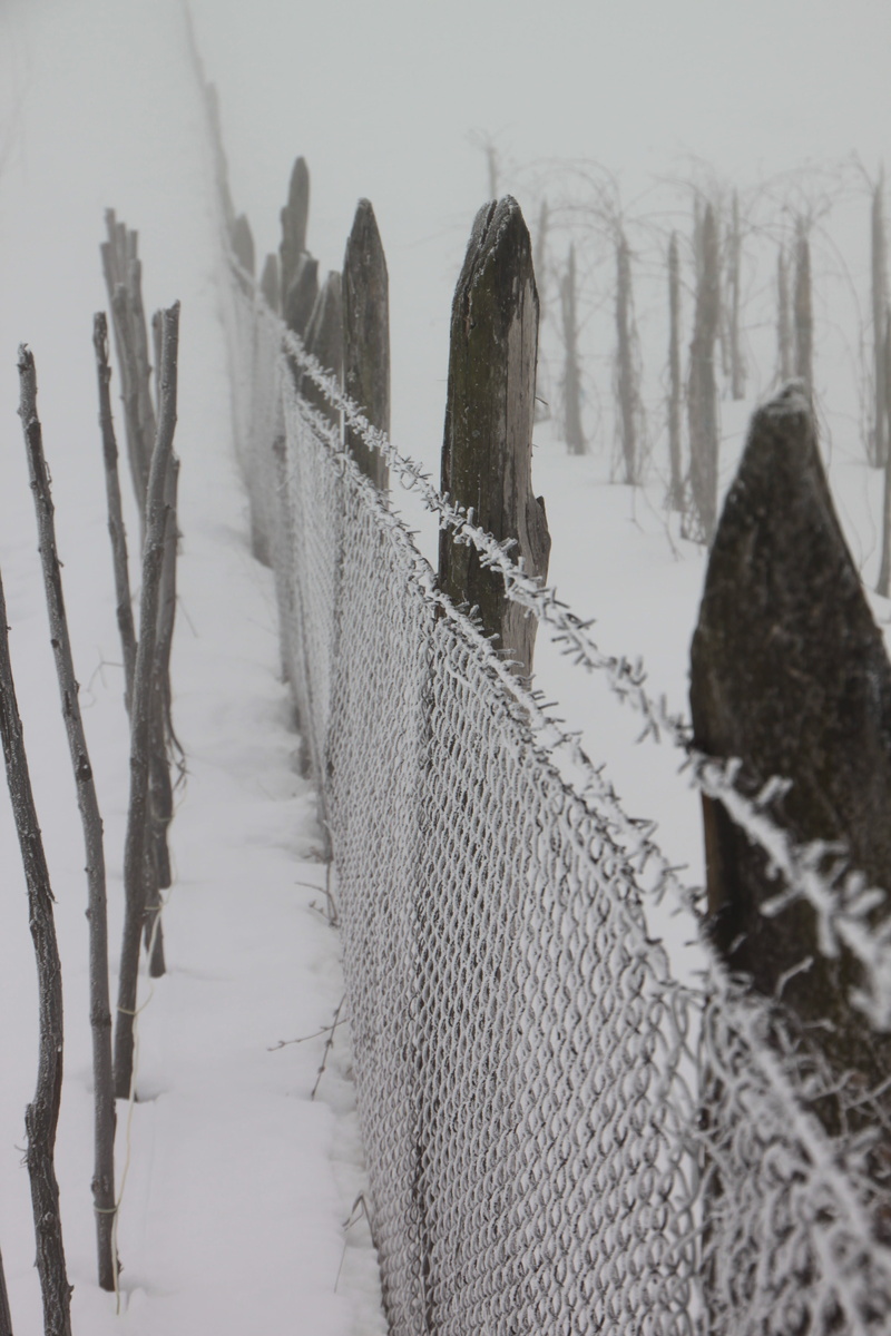post, 4K, wood - material, fence, tranquility, wire, security, winter, wooden post, snow, safety, white, outdoors, cold temperature, barrier, direction
