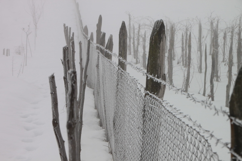 winter, day, frozen, cold temperature, barrier, cold, land, 4K, fence, nature, beauty in nature, safety, wire, boundary, white color, snow, iron, tranquility