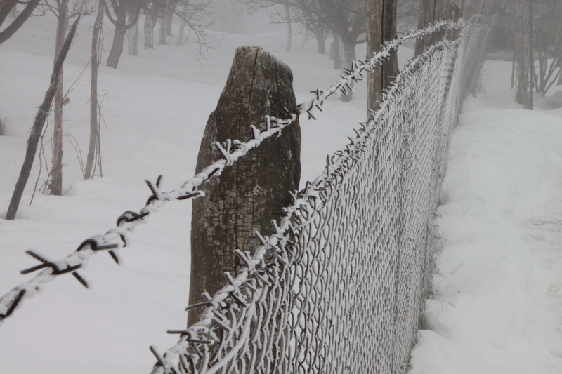 cold temperature, wooden post, boundary, extreme weather, cold, day, security, winter, iron, snow, covering, field, wire, frozen, nature, 4K, railing