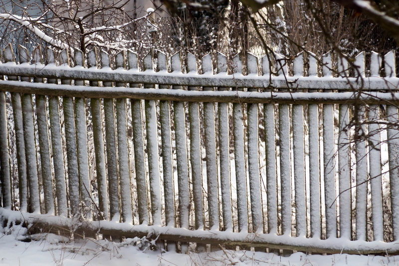 4K, tree, pattern, nature, cold temperature, safety, protection, metal, tranquility, rural fence, snow, day, outdoors, plant, frozen, the fence, village