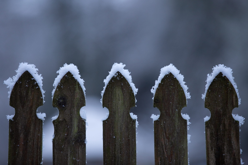 tomb, fish, Snow, cold temperature, environment, animal, flounder, safety, cross, storm, day, robin, focus on foreground, wooden post, picket, winter, security