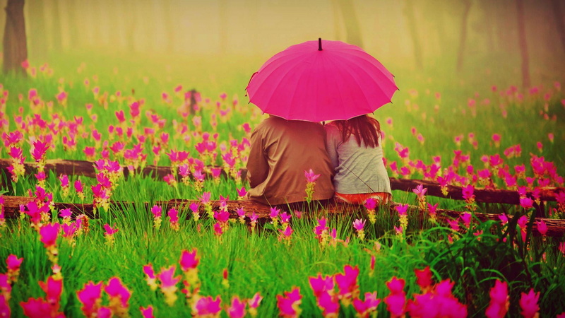freshness, parasol, flower head, 1080P, real people, rural scene, umbrella, landscape, flowering plant, beauty in nature, plant, color, shelter, women