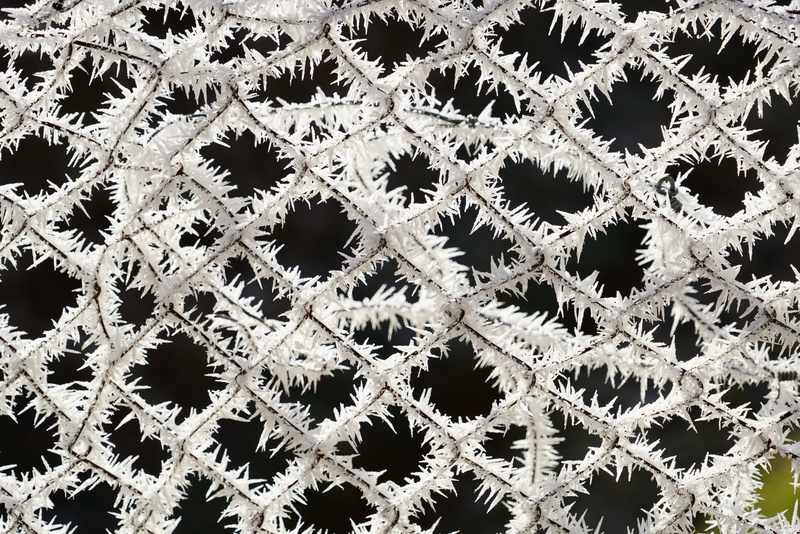 christmas decoration, cold temperature, christmas tree, hog, pattern, frozen, hoarfrost, white color, 8K, metal, close-up, fence, mesh, ice cold, snow-covered