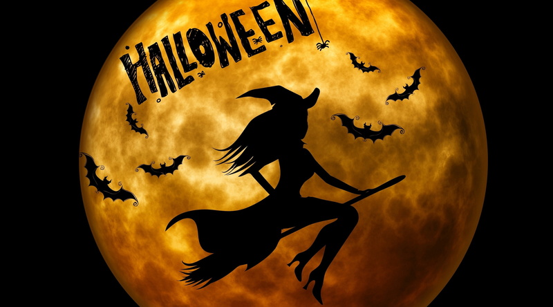 Broom, no people, Witch, atmosphere, mammal, animals in the wild, Holidays, orange, art and craft, digital composite, Night, sky, outdoors, Weird, vertebrate