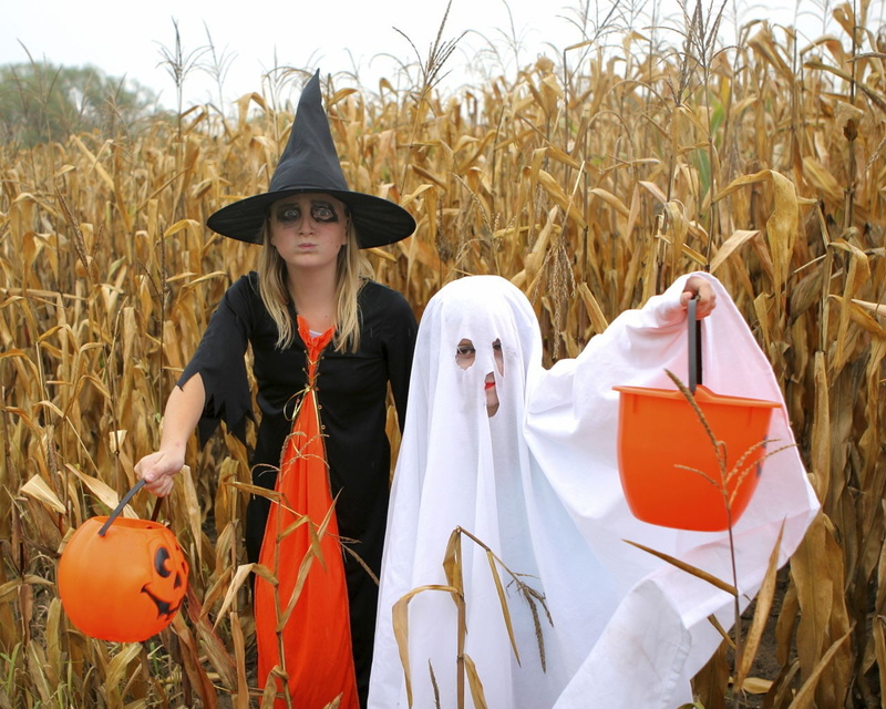 costumes, males, outdoors, agriculture, boys, Halloween, childhood, hat, witch, field, plant, real people, little girl, children, costume, men, child, clothing