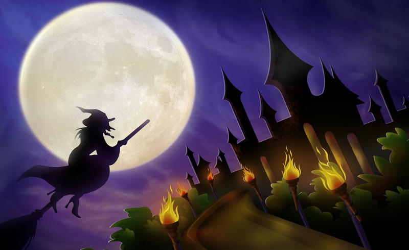bird, animal themes, dark, Moon, Witch, full moon, representation, nature, sky, animal representation, no people, Hallowmas, Holidays, Broom, outdoors