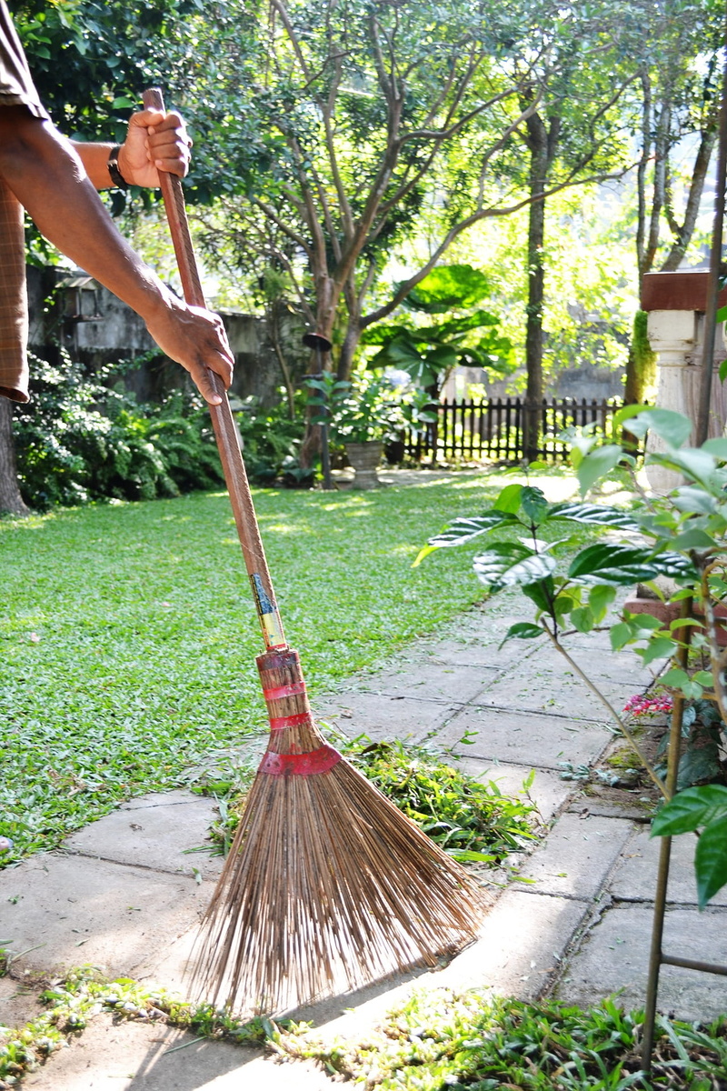 holding, nature, Clean, equipment, tree, growth, tree trunk, footpath, Garden, grass, cleaning equipment, outdoors, front or back yard, green color, plant