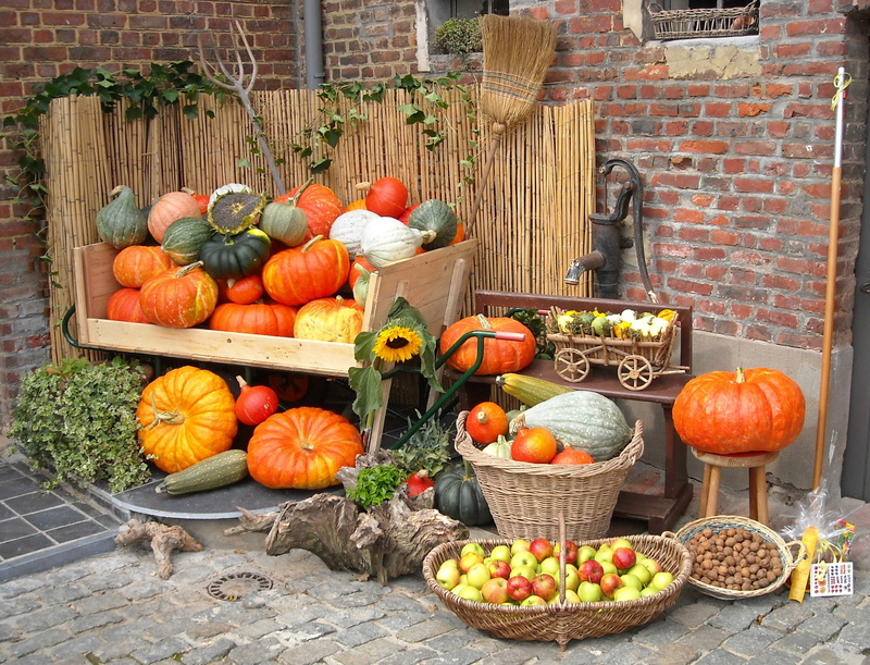 outdoors, variation, still life, apples, autumn, food and drink, no people, october, apple - fruit, food, 2K, large group of objects, container, basket