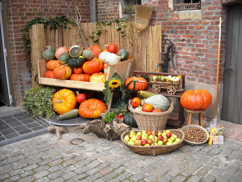 broom, basket, nuts, pumpkins, vegetables, wellbeing, food and drink, still life, orange, built structure, orange color, choice, day, abundance, halloween