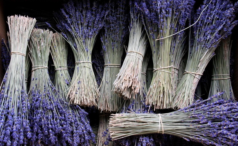 many, large group of objects, architecture, lavender, growth, freshness, plant, day, decoration, flower, old, broom, 1080P, built structure, flowering plant