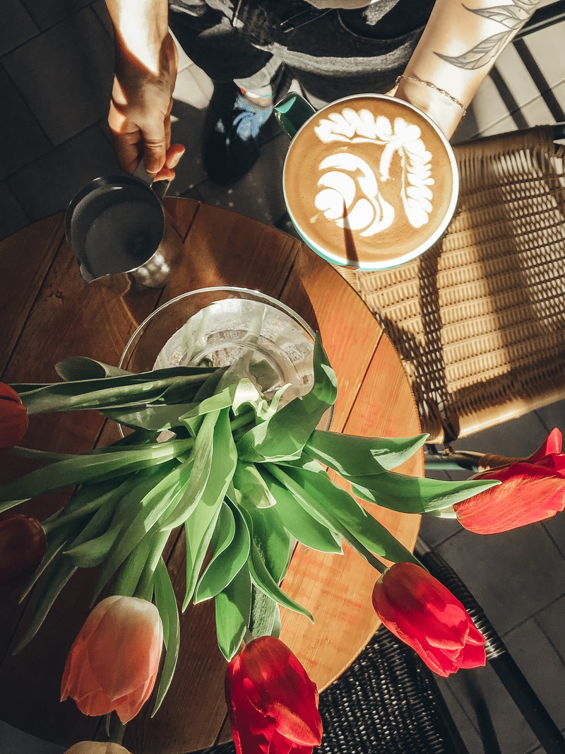 food, freshness, espresso, human hand, latte art, art, men, leaf, person, holding, top, adult, latte, cup of coffee, near, cup, real people, view, nature