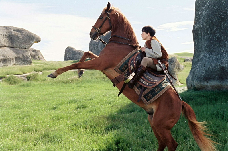 horse, plant, mammal, ride, riding, one animal, outdoors, adventure, family, Book, livestock, vertebrate, people, working animal, 1narnia, land, grass