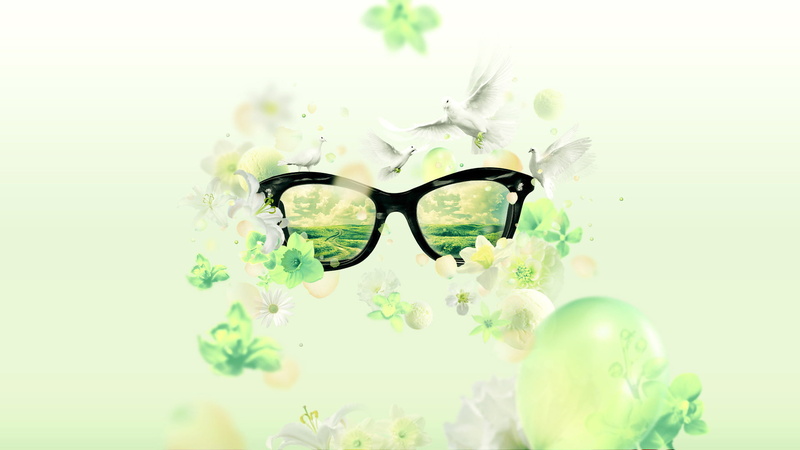 still life, flower, selective focus, sunglasses, framed, personal accessory, digital composite, close-up, 1080P, no people, photo manipulation, vulnerability