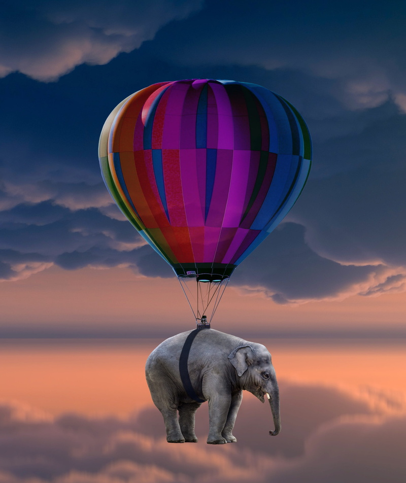 light-weight, captive balloon, animal themes, mammal, digital composite, pachyderm, animal, indian elephant, weightless, animal representation