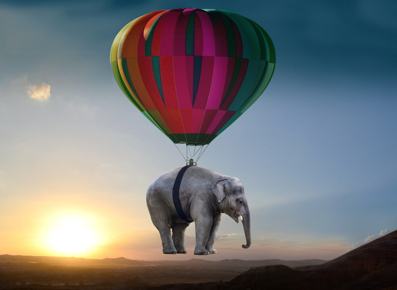 adventure, steppe, standing, pachyderm, mammal, beauty in nature, balloon, multi colored, photo, weightless, elephant, no people, domestic animals, one animal