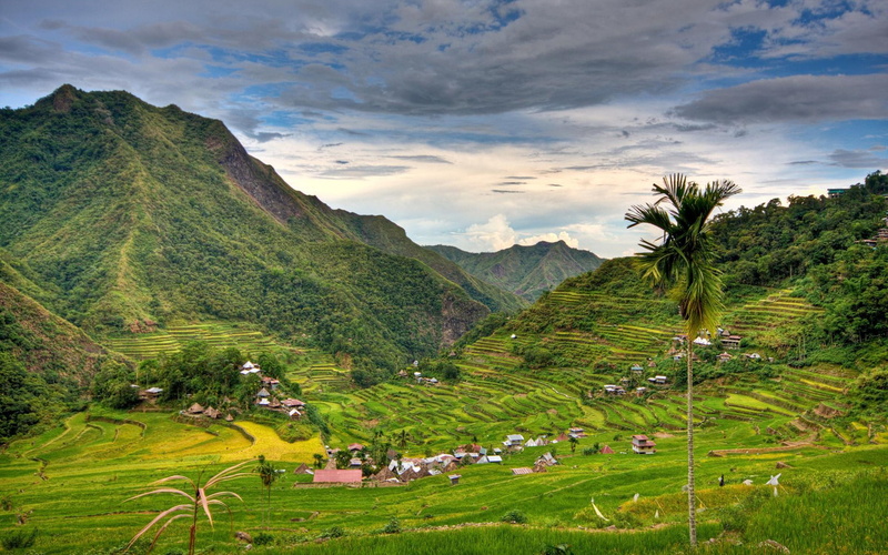 tranquility, cloud - sky, nature, rice, philippines, environment, green color, plant, geograph, rural scene, beauty in nature, outdoors, field, 1080P