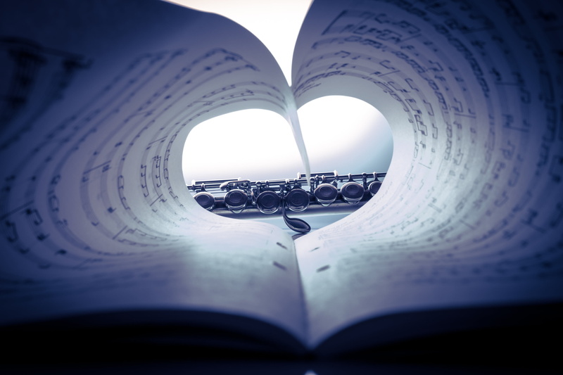 education, security, music, silver plated, publication, emotion, love of music, paper, literature, indoors, reading, activity, flute, selective focus, book