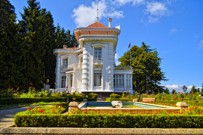 trees, lawn, flowerbed, flag pole, front or back yard, no people, residential district, blue, house, formal garden, tree, sky, outdoors, built structure