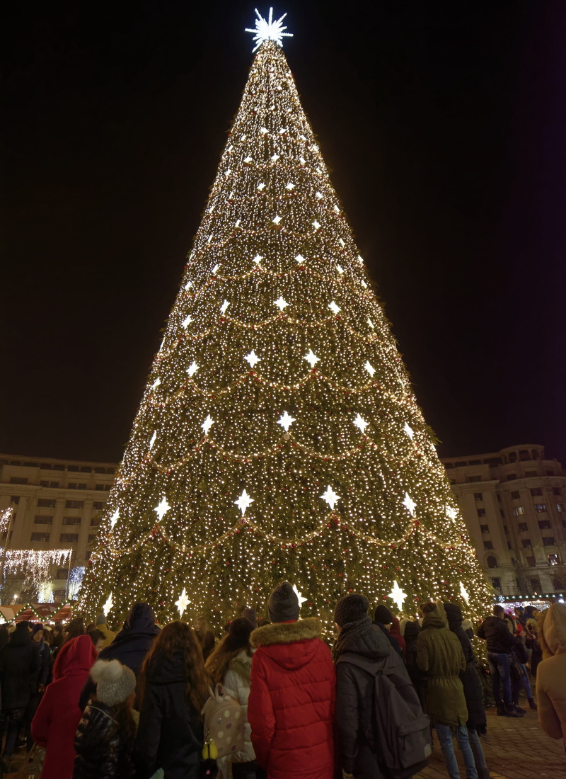 winter, tree topper, lights, christmas lights, ornament, season, tall, festival, architecture, crowd, real people, building, christmas, christmas ornament