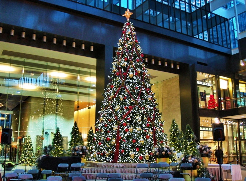 plant, building exterior, holiday - event, christmas Tree, 720P, december, new Years Day, city, christmas Lights, architecture, tree topper, winter, garland