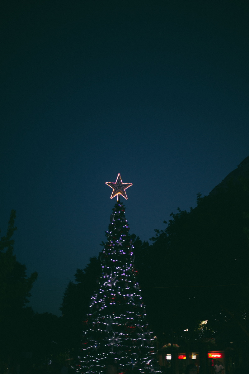 nature, celebration, illuminated, holiday - event, night, christmas, turned, christmas Tree, light, photography, christmas decoration, christmas ornament
