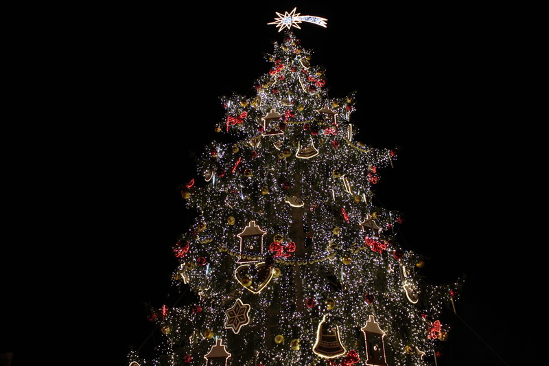 celebration event, decoration, tree topper, light, lights, christmas lights, holiday - event, event, Christmas, trappings, celebration, tree, christmas ornament