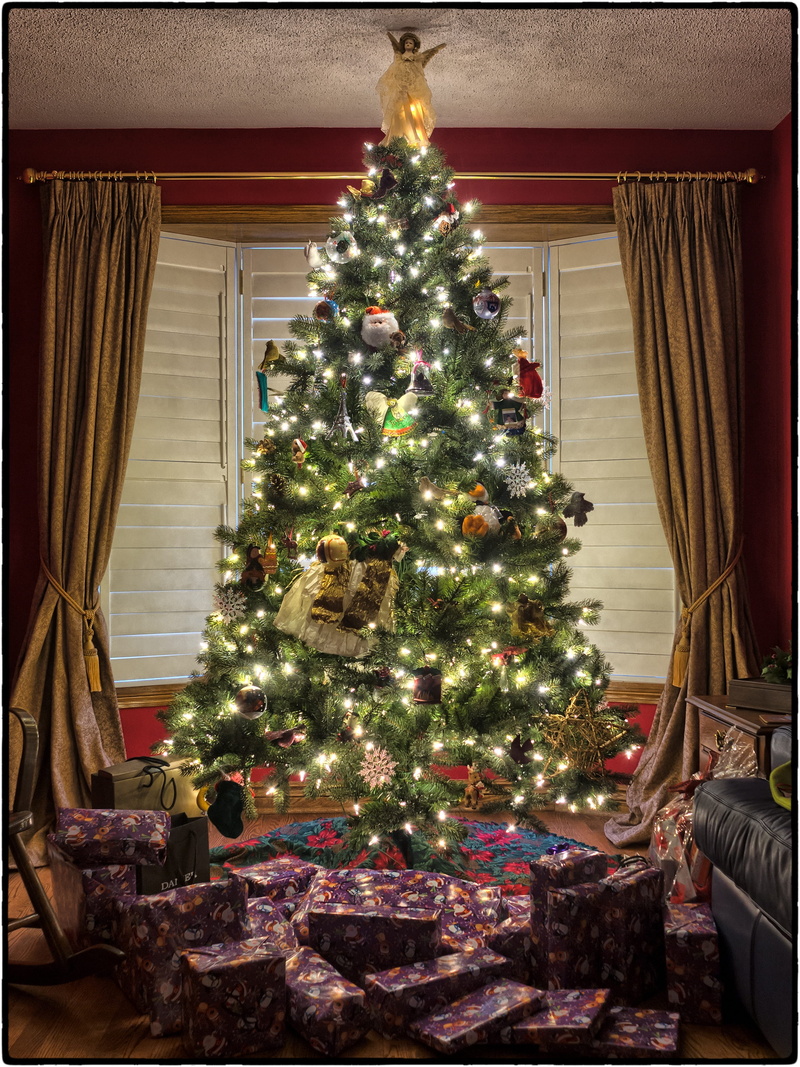 event, green, holiday, decoration, window, decorated, christmas, home interior, xmas, celebrate, curtain, christmas ornament, december, merry christmas