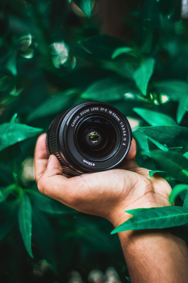 green color, hand, lens, telephoto, activity, lens - optical instrument, person, personal perspective, focus, day, unrecognizable person, real people, photographer
