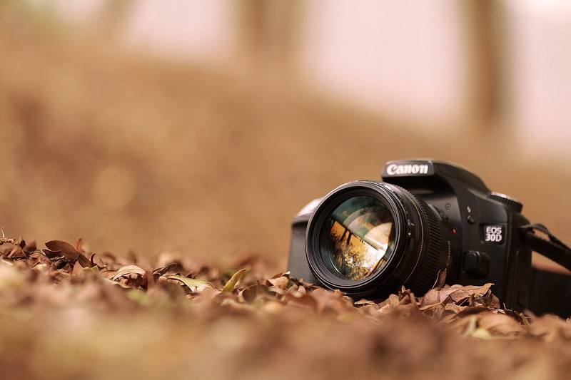 man made object, photography Themes, obsolete, modern, leaves, digital single-lens reflex camera, man made, hobbies, activity, macro, the camera, lens - Optical Instrument