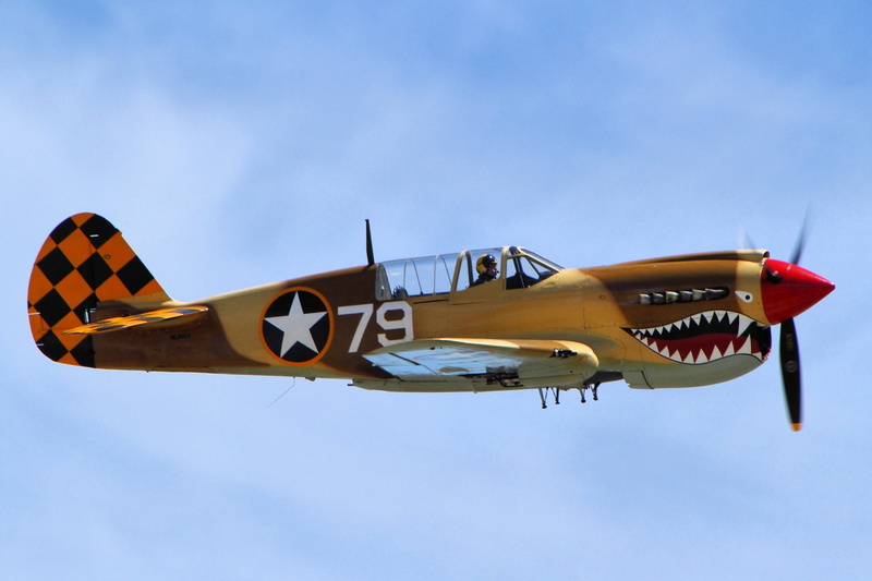 World War II, Curtiss P-40 Warhawk, Military, Aircraft, Military Aircrafts, 1080P