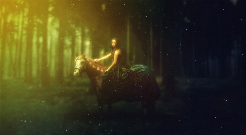 keeper, arms raised, Creative, night, nakrani, one person, parimal, land, tree, darknight, adult, human arm, creativity, forest, photomanipulation, beauty in nature