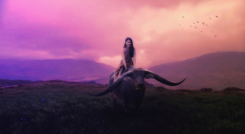 parimal, purple, flying, fantasy, darky, one person, dreamlike, 1080P, animal wildlife, sunset, Creative, brown, group of animals, savarkundla, digital composite
