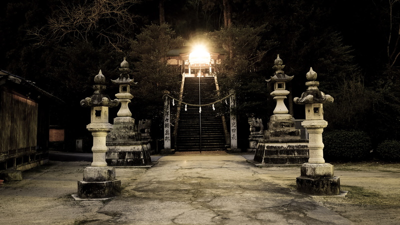 building, night, architecture, no people, building exterior, architectural column, illuminated, tree, lantern, street light, street, pillars, shimenawa