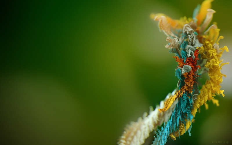 1080P, object, micro