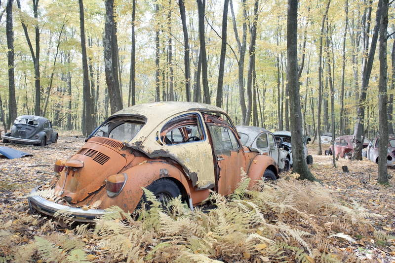 land, damaged, bad condition, run-down, outdoors, nature, deterioration, day, no people, plant, motor vehicle, tree, forest, transportation, vehicle, car