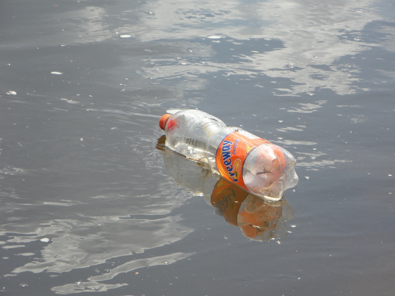 pollution, sunlight, animals in the wild, no people, disposed of, floating, 4K, animal, bottle, swimming, one animal, plastic waste, rippled, reflection